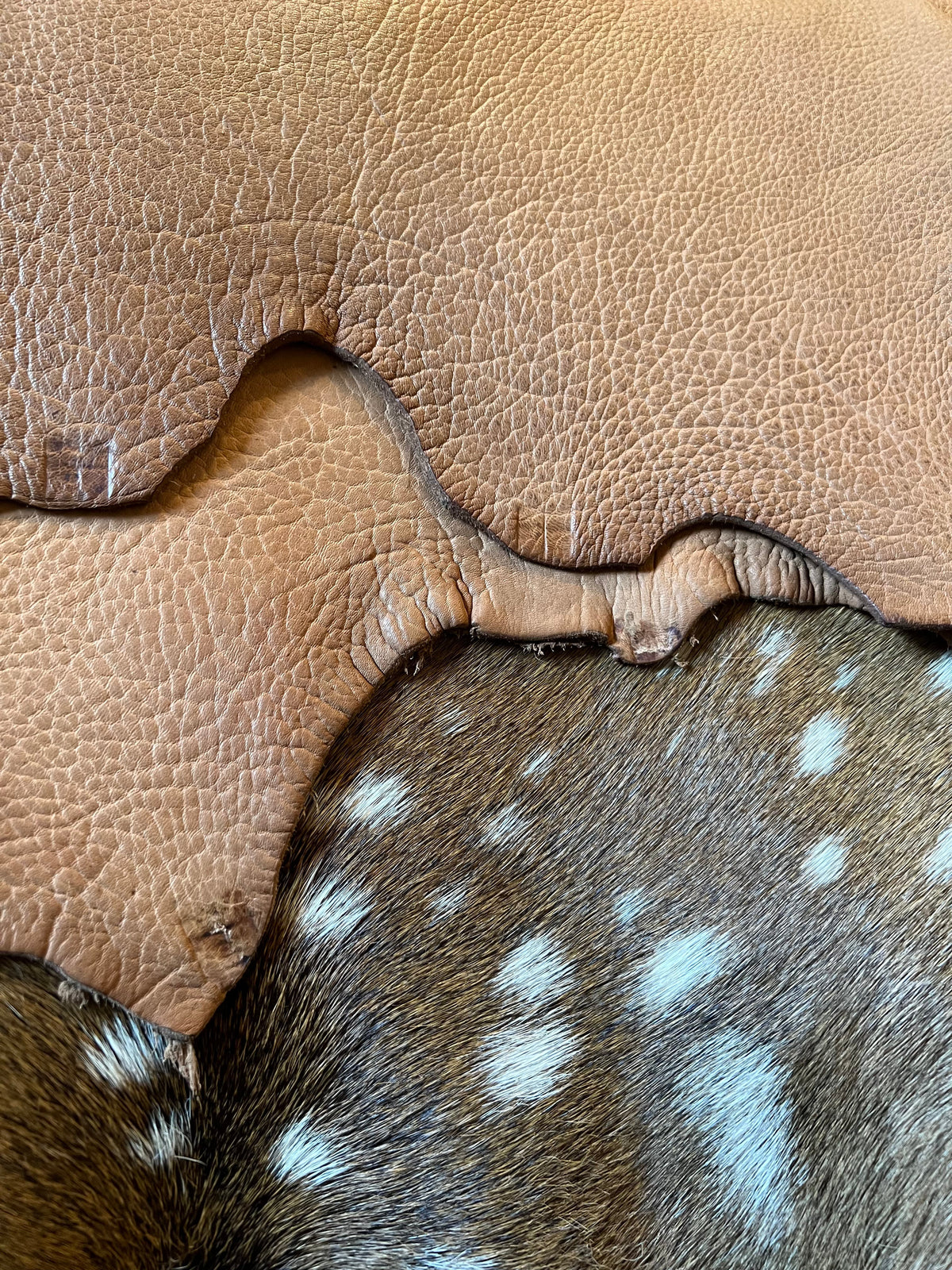 The Craft Behind Every Hide
